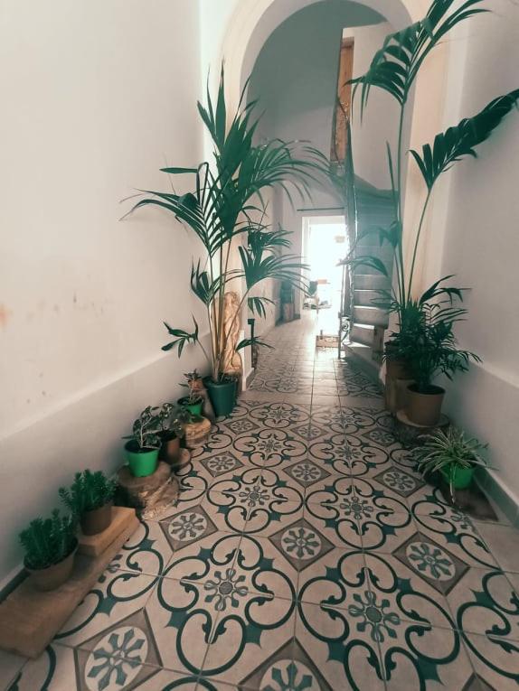 파올라 Dhara House Malta B&B 외부 사진